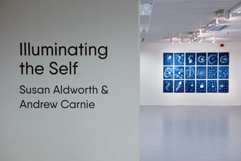Out of the Blue, an installation of 18 cyanotypes, Susan Aldworth 2020. Photograph by Colin Davison.