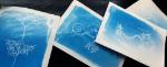 Cyanotype Prints